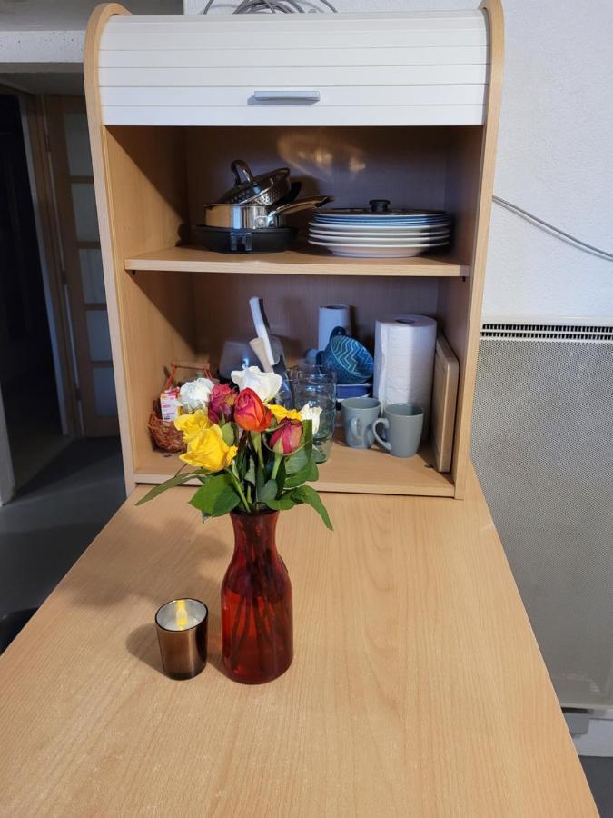 Sur Les Bords De Loire Apartment Монлюис-сюр-Лоар Екстериор снимка